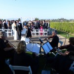 weddings string quartet (30)