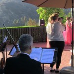 weddings string quartet (39)