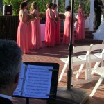 weddings string quartet (43)