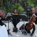 weddings string quartet (47)