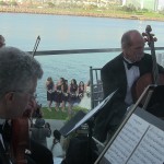 weddings string quartet (50)