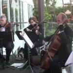 weddings string quartet (57)