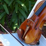 weddings string quartet (68)